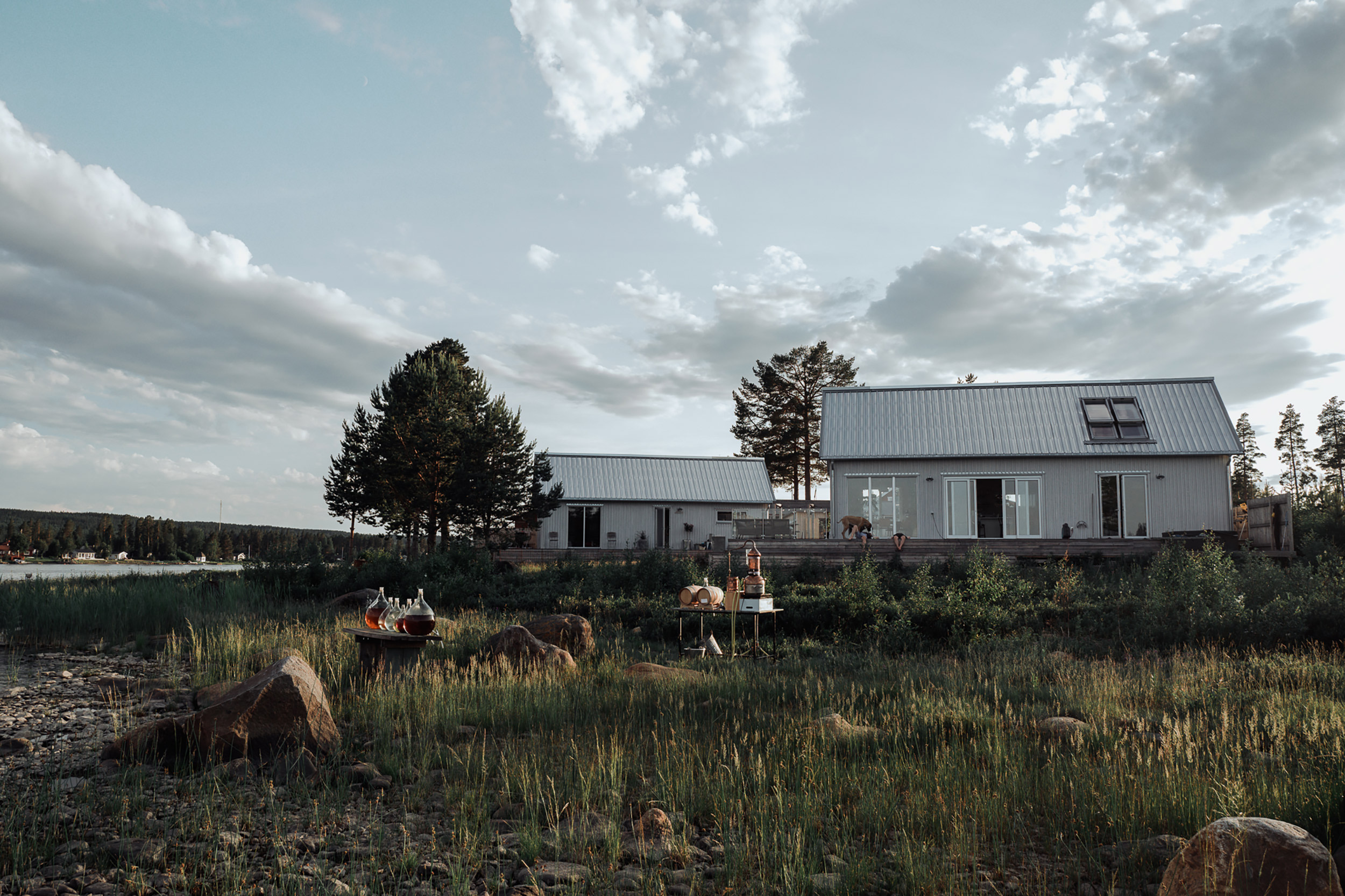 Boviken landscape in Swedish Lapland