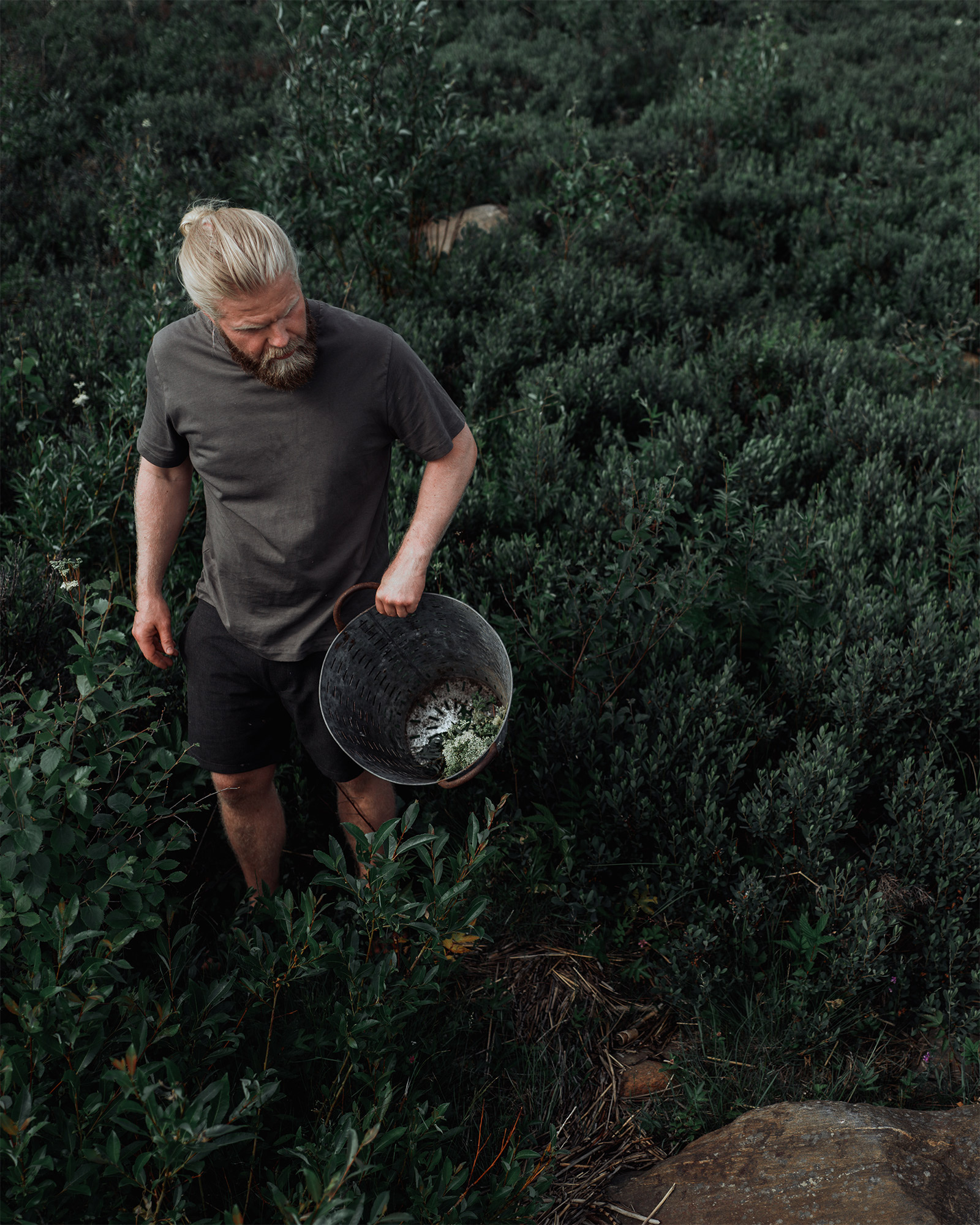 Seasonal foraging in Swedish Lapland