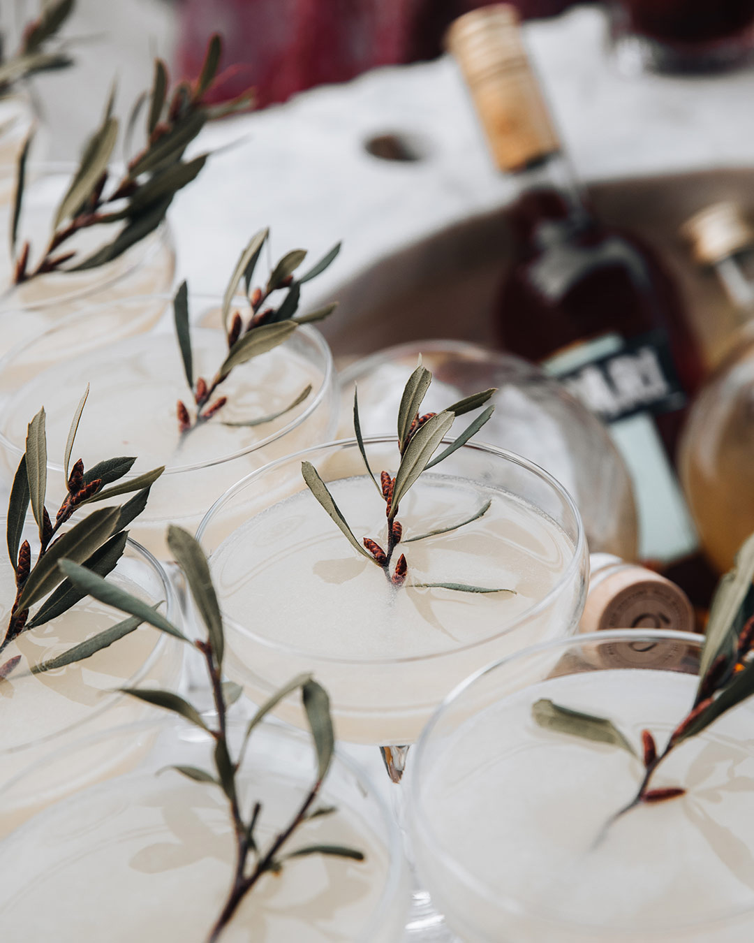 Coupe cocktails garnished with botanical sprigs